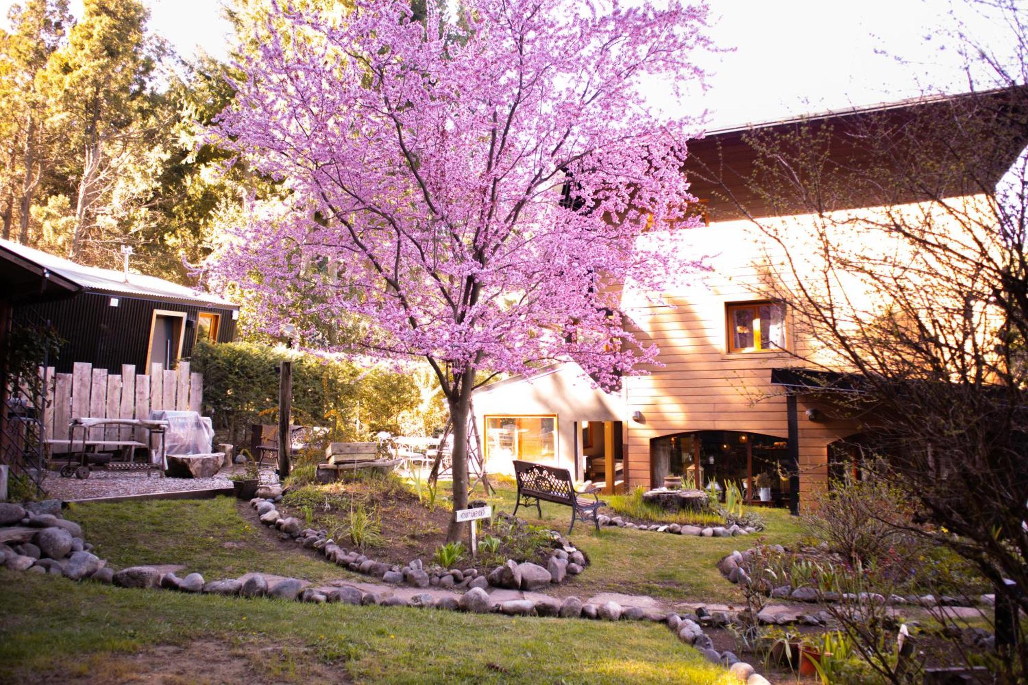 Le Bouquet Apart Hotel San Carlos de Bariloche Bagian luar foto
